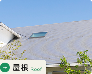 屋根 Roof